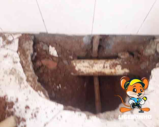 Caça vazamento de água Ligeirinho