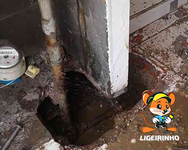 Conserto tecnico de vazamento de água preço baixo