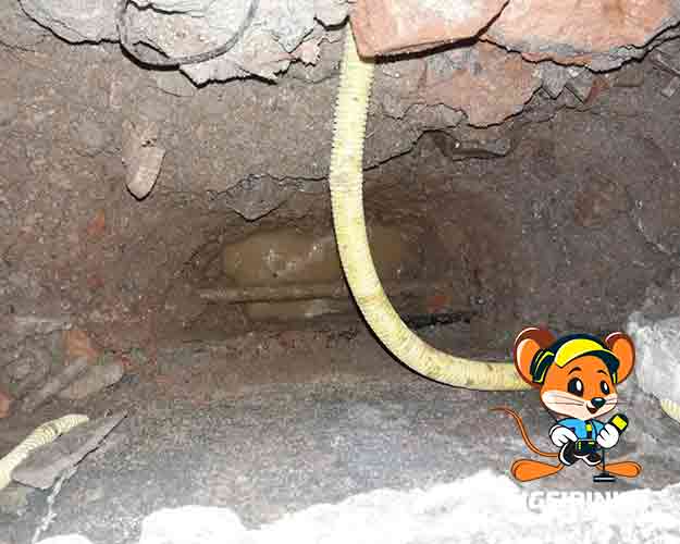 Detecção tecnica de vazamento de água Centro de São Paulo