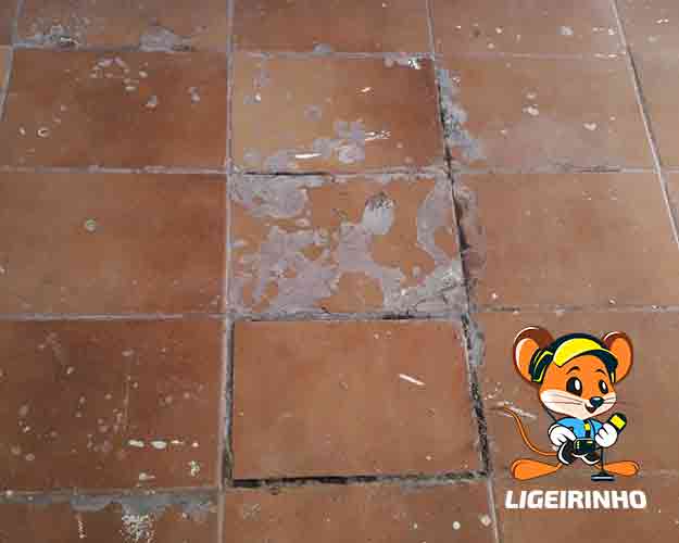 Reparo de vazamento Ligeirinho