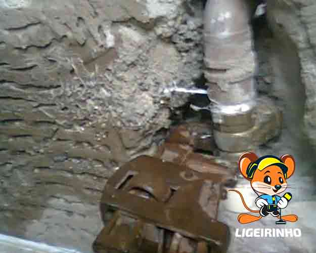 Técnico especializado em reparo de vazamento de água