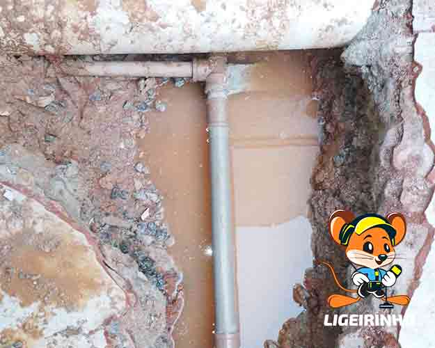 Técnico Experiente em Detecção de Vazamentos Zona Sul